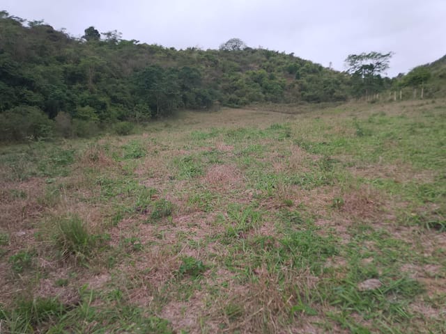 Terreno com 96800m², à venda, no bairro Morro do Côco em Campos dos Goytacazes