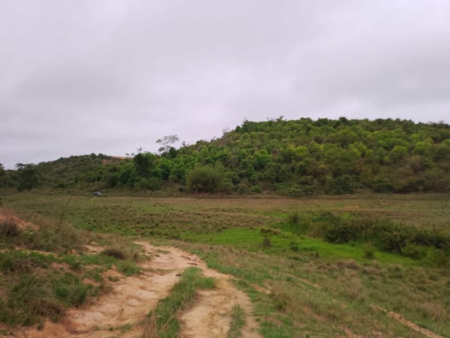 Terreno com 96800m², à venda, no bairro Morro do Côco em Campos dos Goytacazes