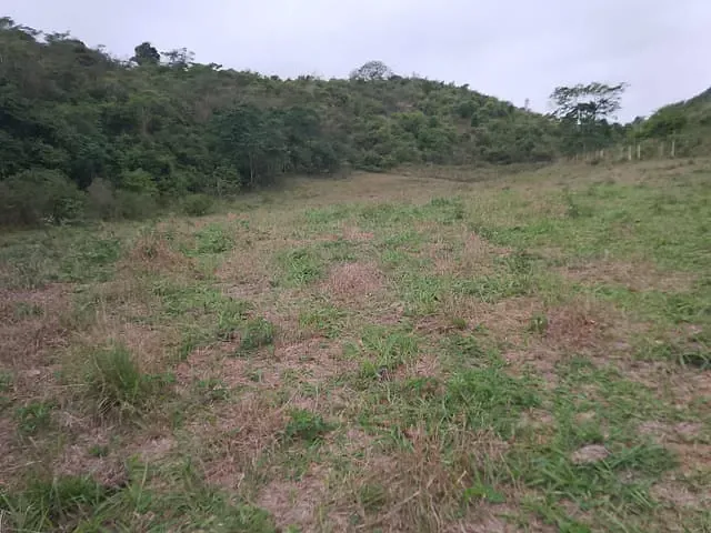 Terreno com 96800m², à venda, no bairro Morro do Côco em Campos dos Goytacazes