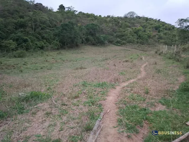 Terreno com 96800m², à venda, no bairro Morro do Côco em Campos dos Goytacazes