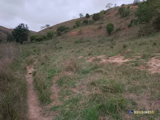Terreno com 96800m², à venda, no bairro Morro do Côco em Campos dos Goytacazes