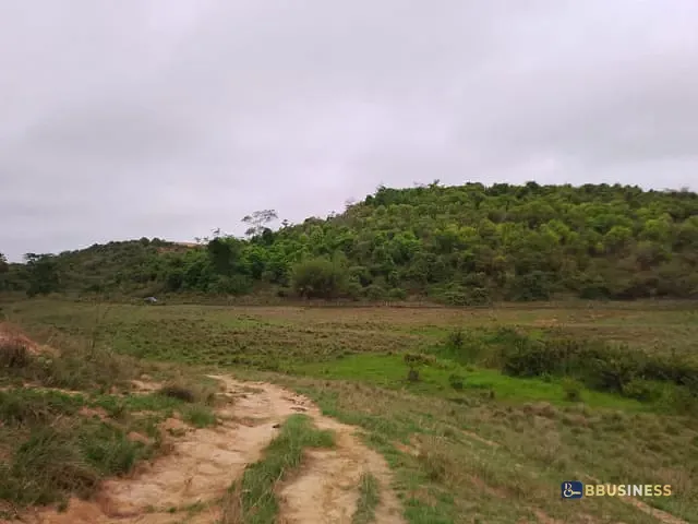 Terreno com 96800m², à venda, no bairro Morro do Côco em Campos dos Goytacazes