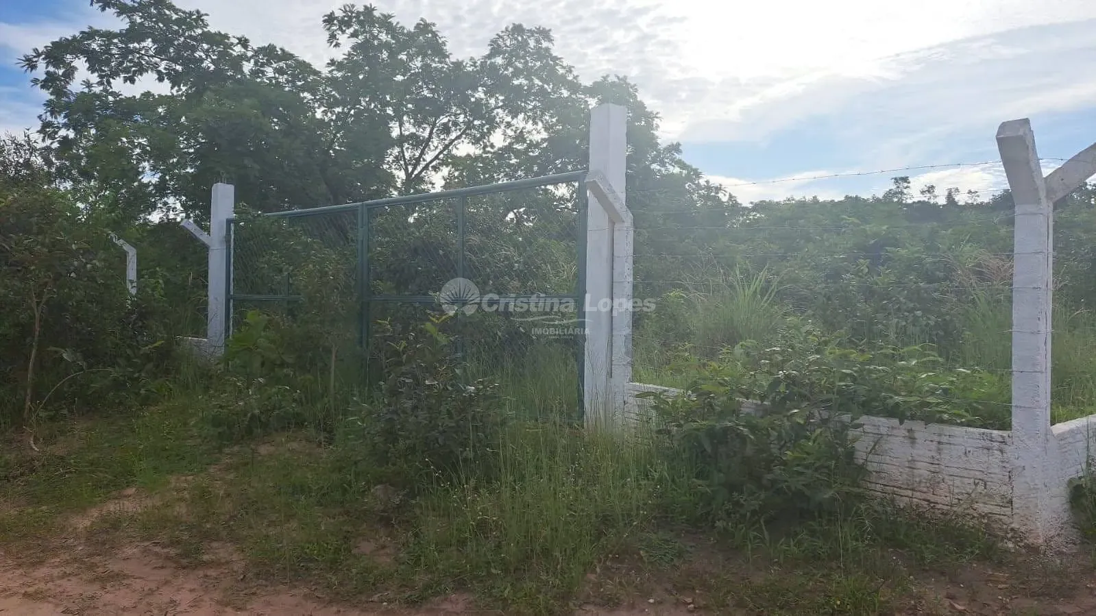 Terreno, 7065 m² - Foto 2