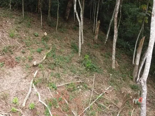 Terreno com 1782m², à venda, no bairro Correas em Petrópolis