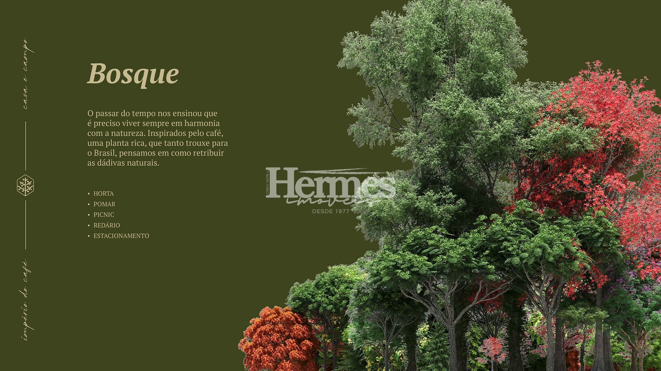 Terreno, 200 m² - Foto 33