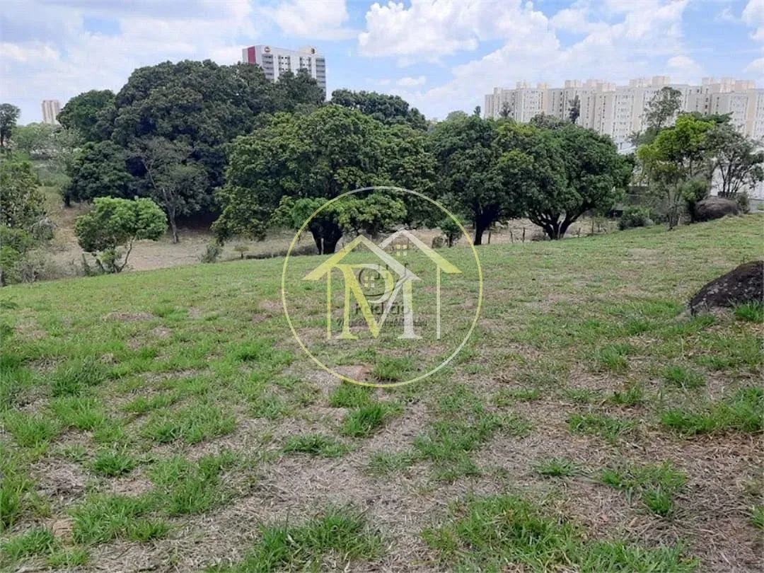Terreno, 4 hectares - Foto 3