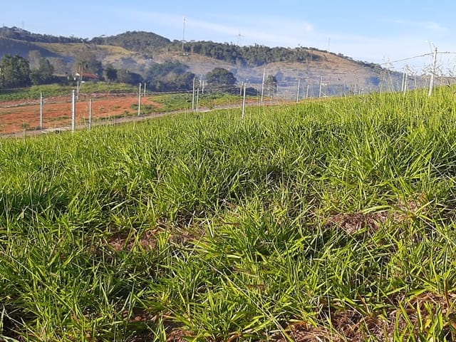 Foto do Terreno - Terreno à venda, Jardim Julieta, Taubaté, SP | Venter imoveis