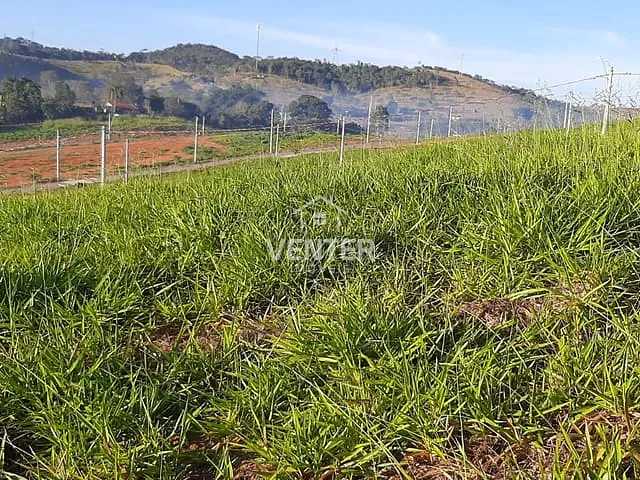 Terreno com 250m², à venda, no bairro Jardim Julieta em Taubaté