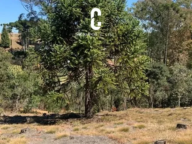 Terreno com 1446m², à venda, no bairro Alto Do Capivari em Campos Do Jordão