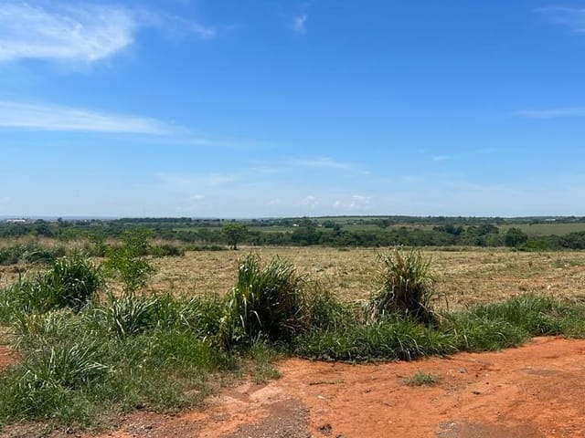 Foto do Terreno - Terreno comercial para venda em Vila Rica, 30,000m² | Lares e Andares Imóveis