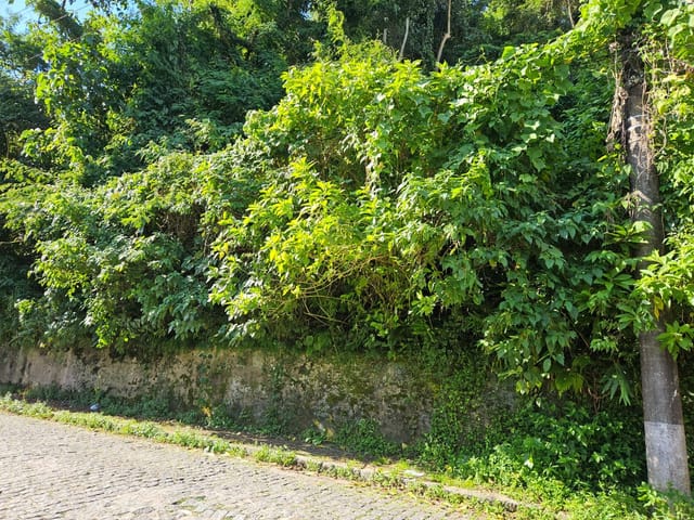 Terreno à venda, no bairro Quarteirão Ingelheim em Petrópolis