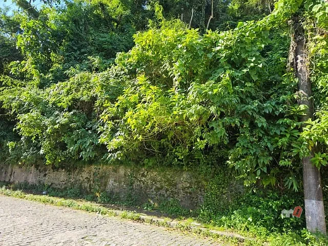 Terreno à venda, no bairro Quarteirão Ingelheim em Petrópolis