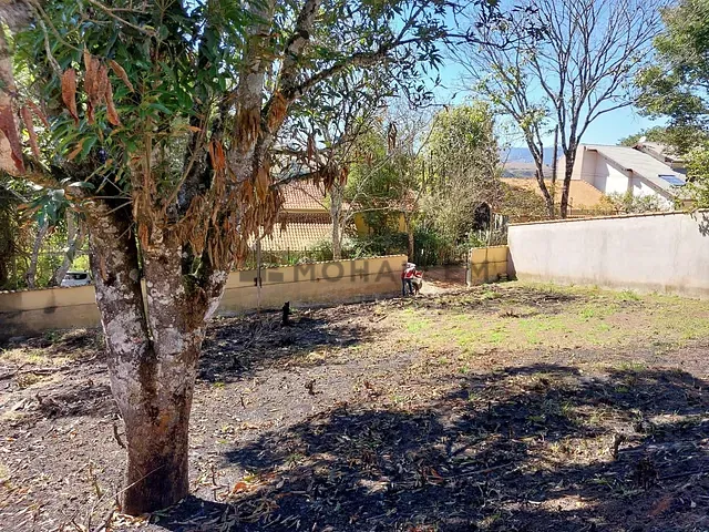 Terreno com 730m², à venda, no bairro dos Carneiros em Piranguinho