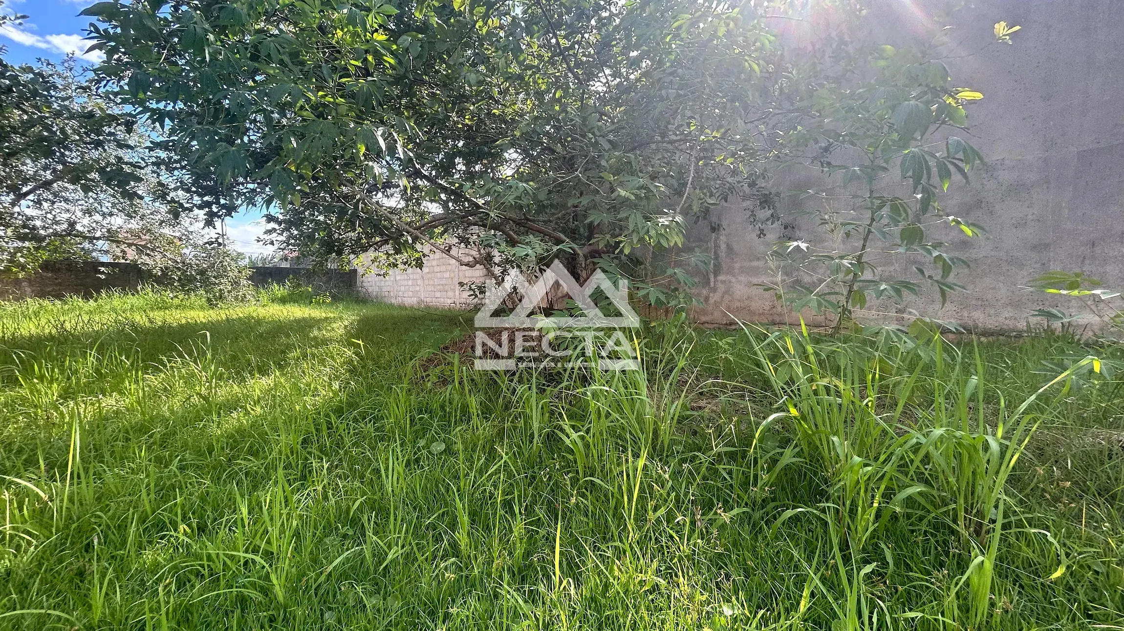 Terreno, 360 m² - Foto 8