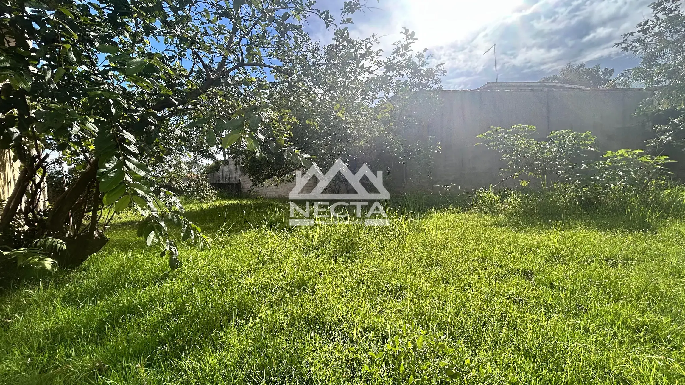 Terreno, 360 m² - Foto 9