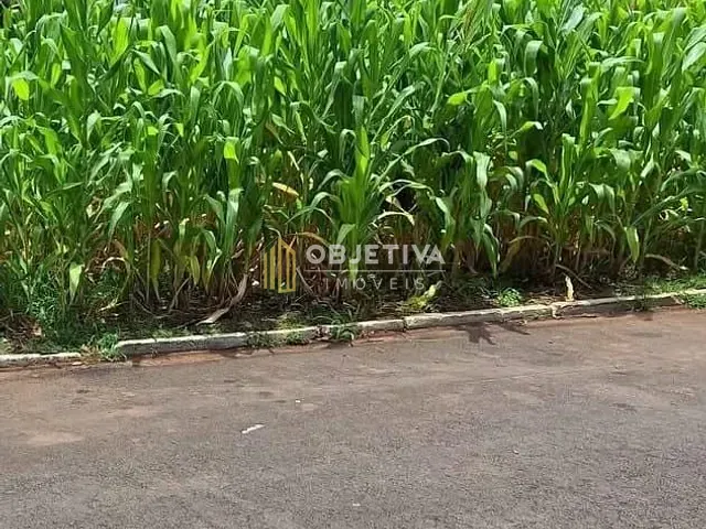 Terreno com 429m², à venda, no bairro Farropilha em Ivoti