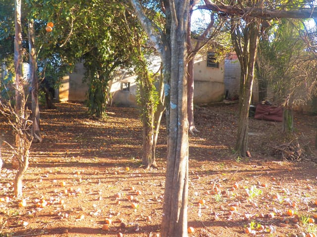 Terreno com 462m², à venda, no bairro Oficinas em Ponta Grossa
