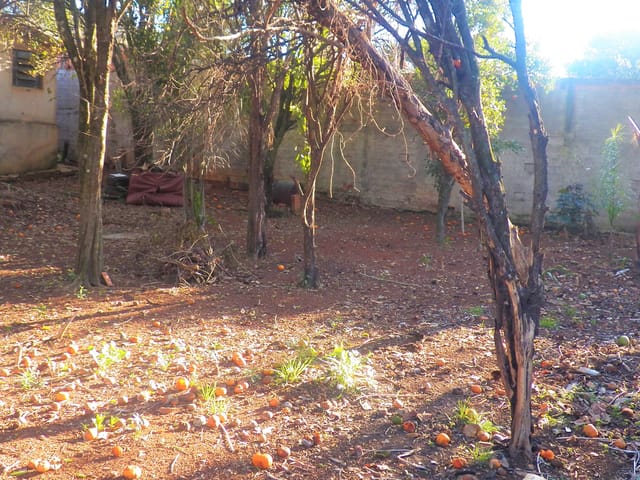 Terreno com 462m², à venda, no bairro Oficinas em Ponta Grossa