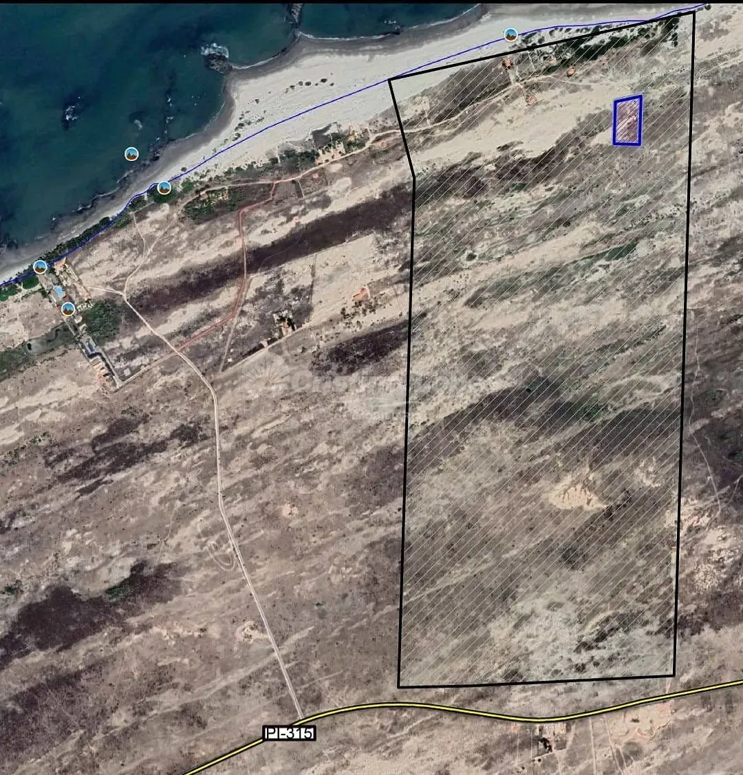Terreno, 10000 m² - Foto 1