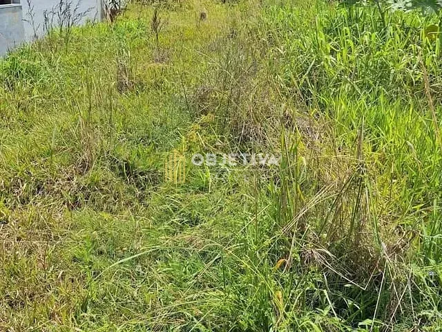 Terreno com 312m², à venda, no bairro Cidade Nova em Ivoti