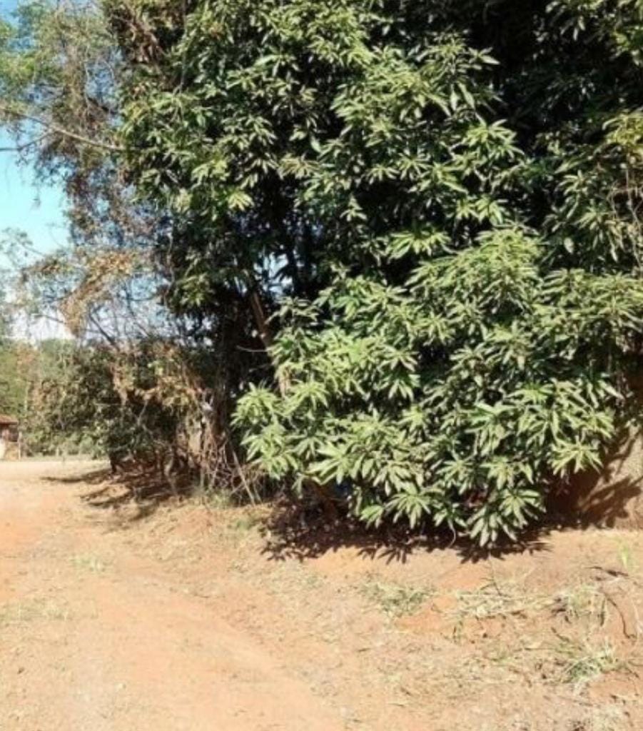 Terreno, 1500 m² - Foto 2