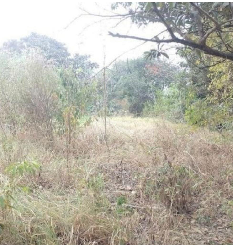 Terreno, 1500 m² - Foto 3