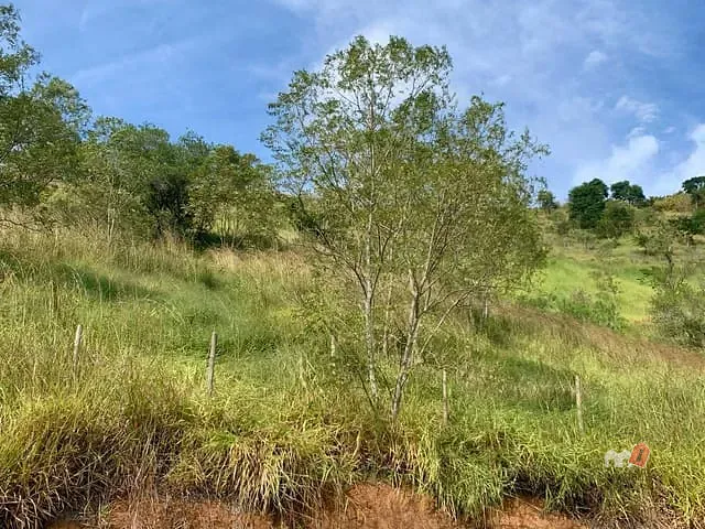 Terreno com 6200m², à venda, no bairro Corrêas em Petrópolis