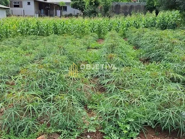 Terreno com 667m², à venda, no bairro 25 de Julho em Ivoti