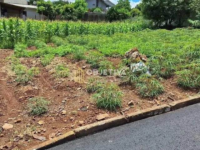 Terreno com 667m², à venda, no bairro 25 de Julho em Ivoti