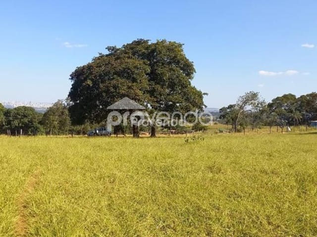 Foto do Terreno - ÁREA COM 58.000M² LOCALIZADA NA RODOVIA GO 080, KM 11,5, GOIÂNIA-GO | Provenda Imobiliária