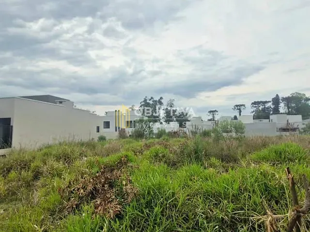 Terreno com 250m², à venda, no bairro Lago Azul em Estância Velha