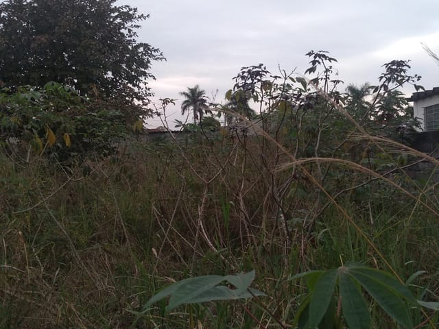 Foto do Terreno - Terreno à venda, Cidade Nova, Pindamonhangaba, SP | Venter imoveis