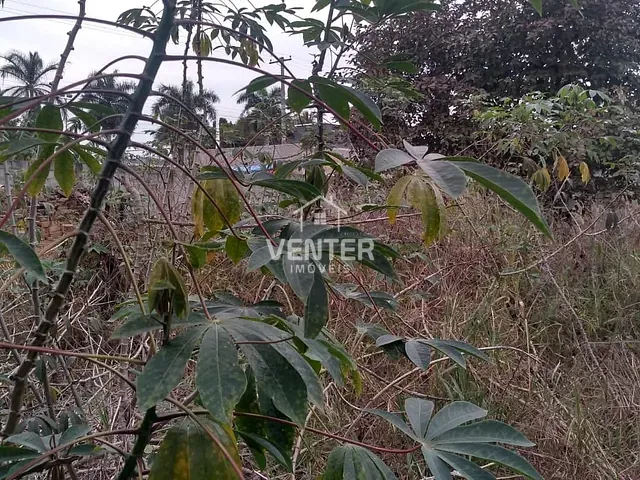 Terreno com 250m², à venda, no bairro Cidade Nova em Pindamonhangaba