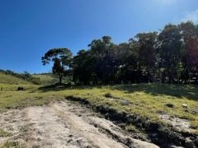 Terreno com 3000m², à venda, no bairro Mamoneiros em Itapeva