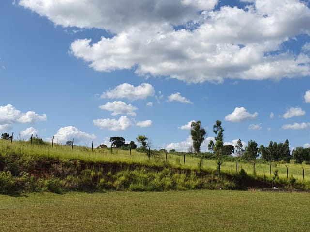 Terreno à venda, no bairro Uvaranas em Ponta Grossa