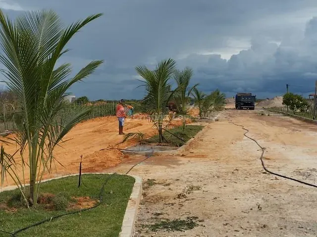 Terreno com 386m², à venda, no bairro Morro Branco em Cajueiro da Praia