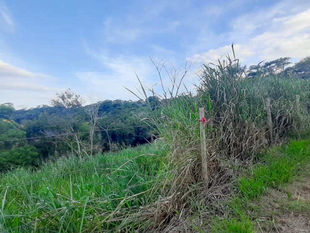 Terreno com 2030m², à venda, no bairro Granja dos Cavaleiros em Macaé