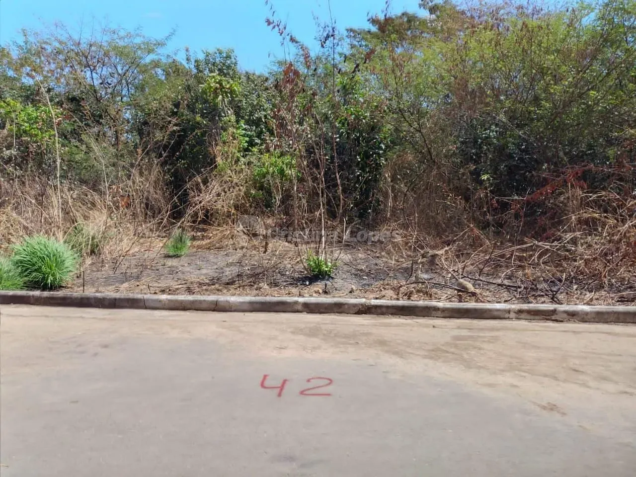 Terreno, 240 m² - Foto 4