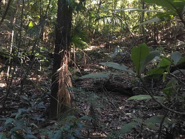 Terreno com 8632m², à venda, no bairro São Sebastião em Petrópolis