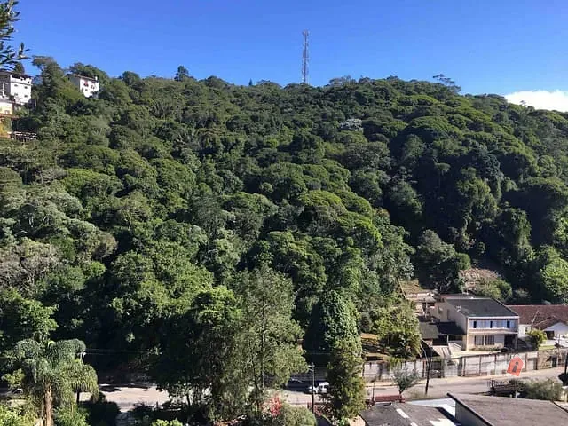 Terreno com 8632m², à venda, no bairro São Sebastião em Petrópolis