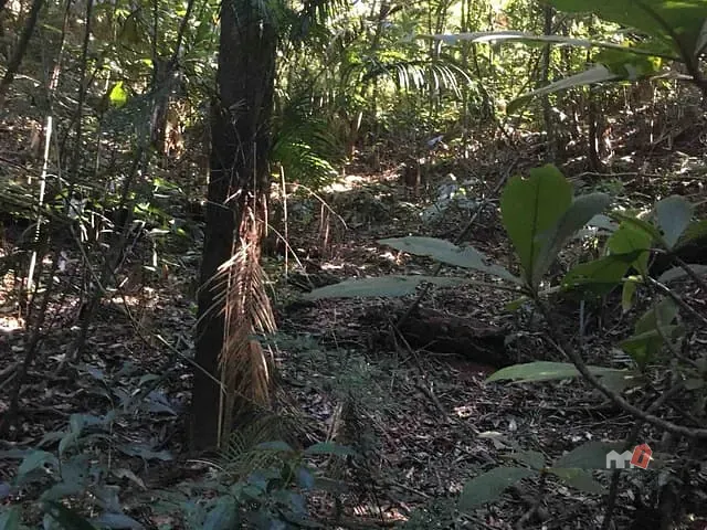 Terreno com 8632m², à venda, no bairro São Sebastião em Petrópolis