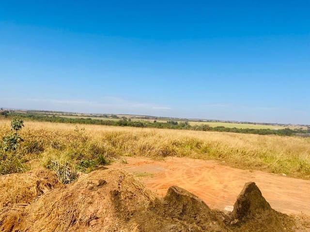 Foto do Terreno - Terreno comercial para venda em Vila Rica, 30,000m² | Lares e Andares Imóveis