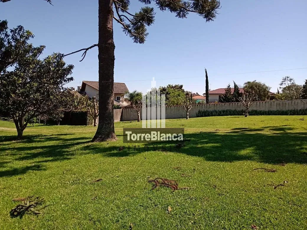 Terreno, 1000 m² - Foto 3