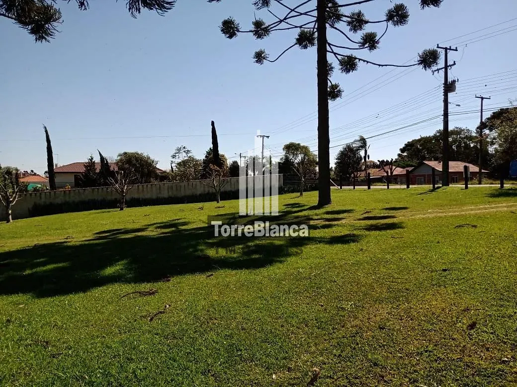 Terreno, 1000 m² - Foto 4