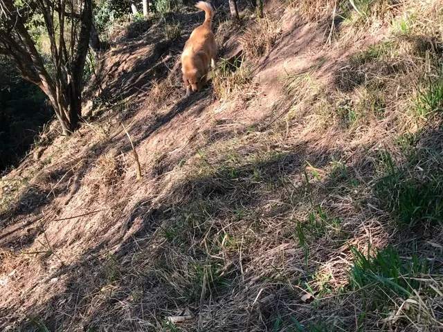 Terreno com 1100m², à venda, no bairro Corrêas em Petrópolis