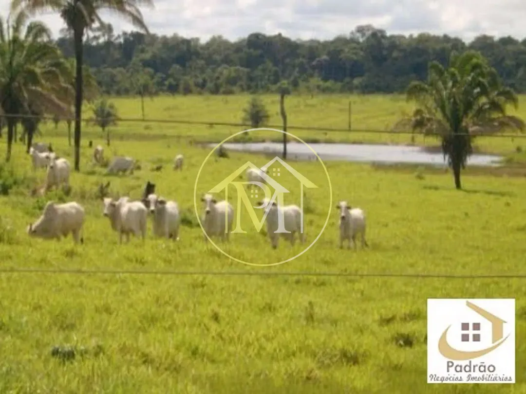 Terreno, 38000 hectares - Foto 7