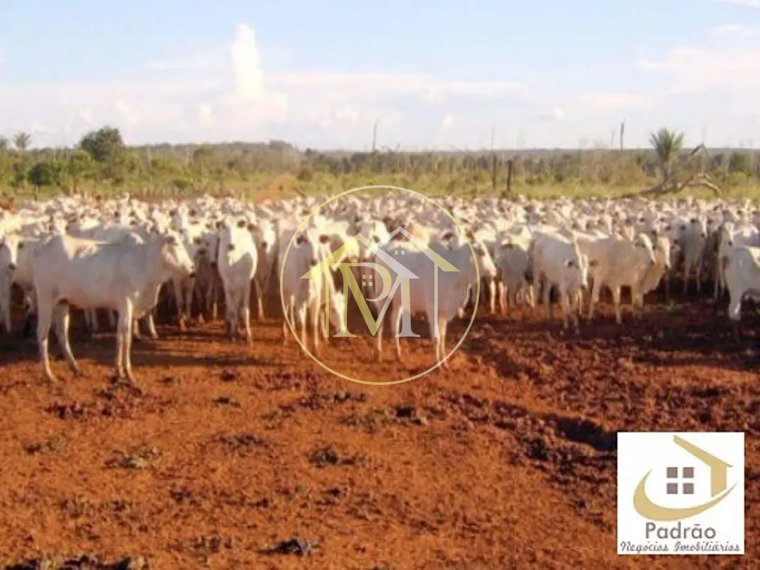 Terreno, 38000 hectares - Foto 1