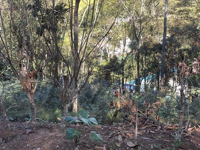 Terreno com 4239m², à venda, no bairro Cuiabá em Petrópolis