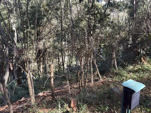 Terreno com 4239m², à venda, no bairro Cuiabá em Petrópolis