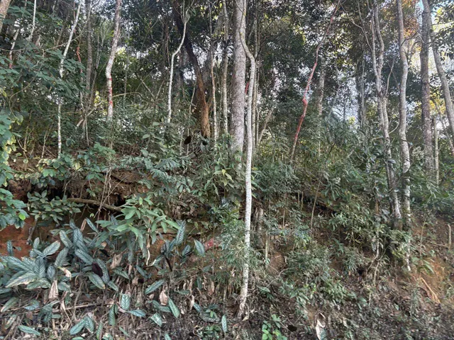 Terreno com 4239m², à venda, no bairro Cuiabá em Petrópolis